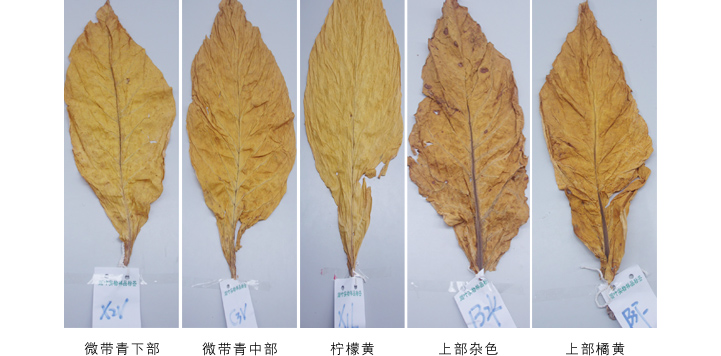 九州酷游空气能热泵高温烘干机故障维修