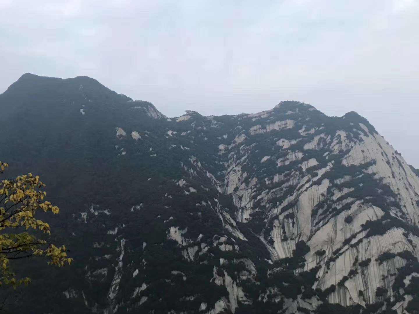 mmexport1538787396129.jpg 九州酷游空气能精英