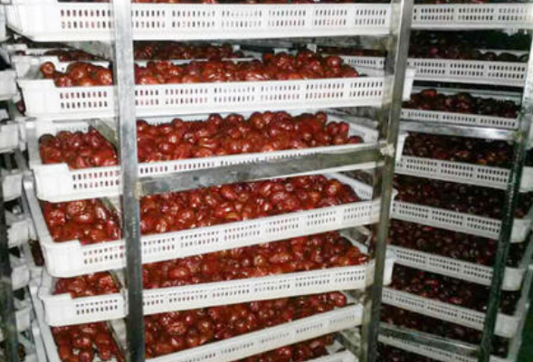 新疆水果烘干机烘干项目介绍 新疆水果烘干机烘干项目介绍