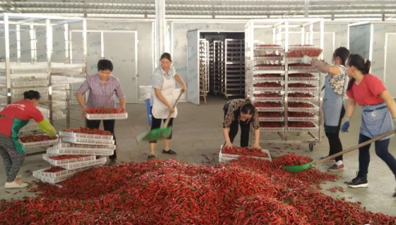 辣椒烘干机批发价格,辣椒烘干机价格是多少钱一台,辣椒烘干机如何使用? 辣椒烘干机批发价格,辣椒烘干机价格是多少钱一台,辣椒烘干机如何使用?